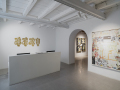 1_BENU_ Installation view