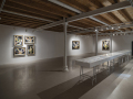 4_BENU_Installation view