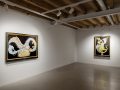 7_BENU_Installation view 