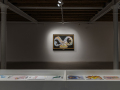 8_BENU_Installation view