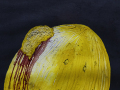 Dettaglio
